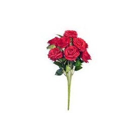 Ramo de 9 rosas rojas