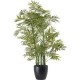 Planta artificial mini bambú Phoenix