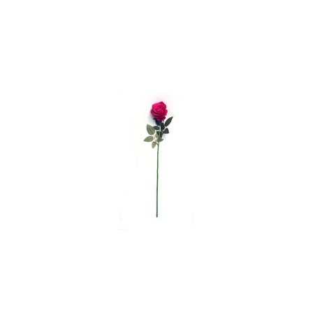 Rosa cabbage aterciopelada fucsia