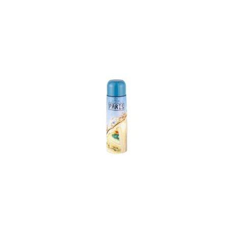 Termo Acero Inoxidable Paris 500 ml con tapa