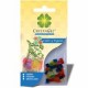 Figuras de hidrogel deshidratadas cubo multicolor 5 g