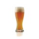 Cervecero Altto 591ml/20oz