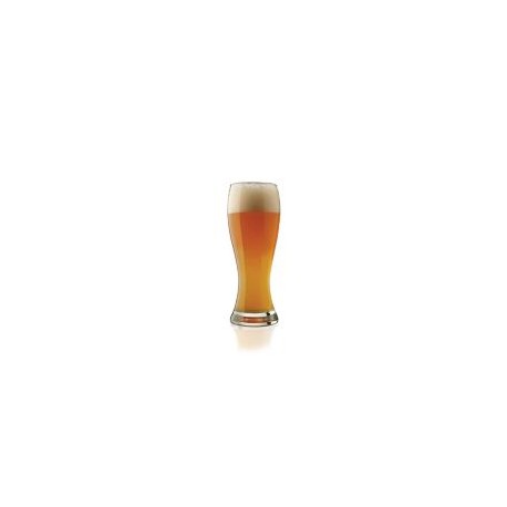 Cervecero Altto 591ml/20oz
