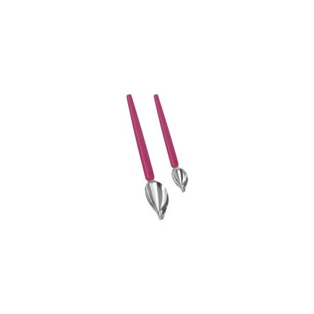 Set de cucharas para decoración 2 piezas