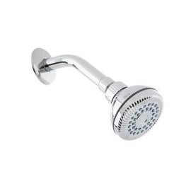 Regadera con brazo y chapetón 4507B