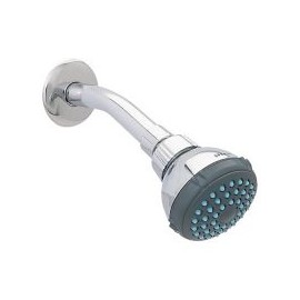 Regadera con brazo y chapetón 4506B