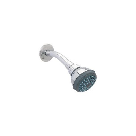 Regadera con brazo y chapetón 4506B