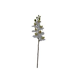 Orquidea Phaleanopsis Mini Tacto Natural Crema Artificial