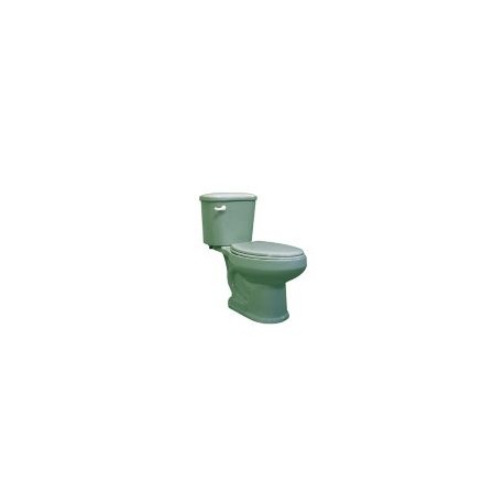 Sanitario alargado Tulipán verde 4.8 l